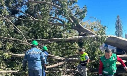 PARQUES RECREATIVOS CERRADOS TRAS FUERTES RÁFAGAS DE VIENTO