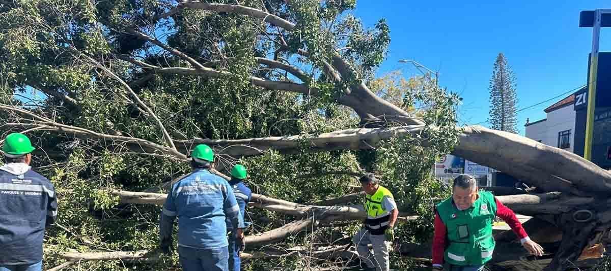 PARQUES RECREATIVOS CERRADOS TRAS FUERTES RÁFAGAS DE VIENTO