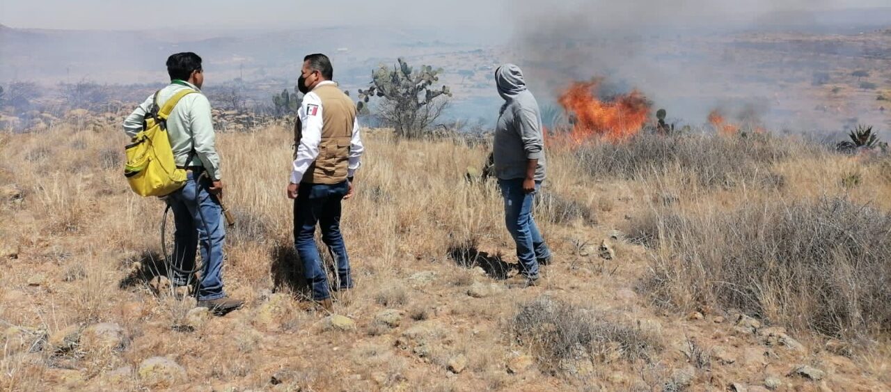 85 INCENDIOS FORESTALES SE REGISTRARON ESTE 2022