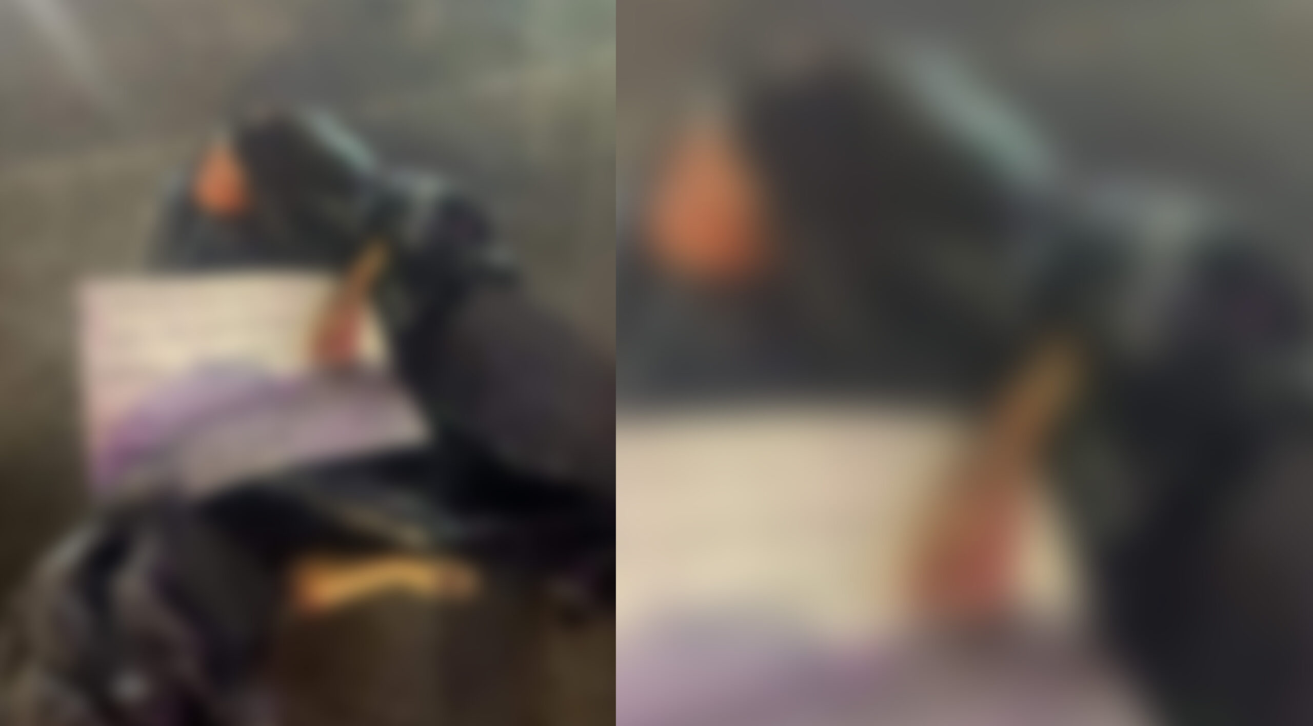 INICIA LA SEMANA CON UN HOMBRE DESMEMEBRADO EN LA CIUDAD DE SAN LUIS POTOSÍ