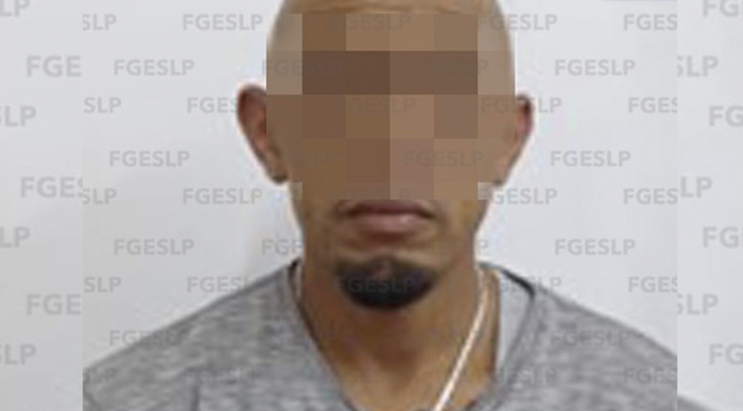 DETIENEN A PRESUNTO ASESINO DE UN PSIQUIATRA Y DE SU ESPOSA PSICÓLOGA