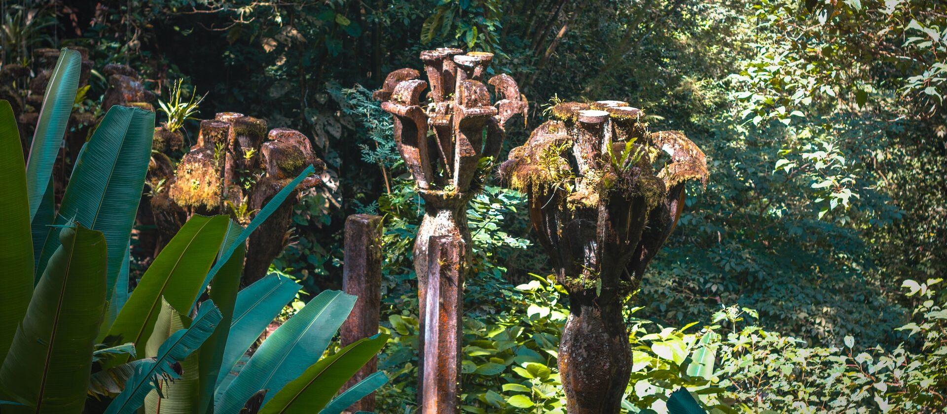 SECTUR RECIBIRÁ PORCENTAJE DE INGRESOS DEL JARDÍN ESCULTÓRICO “EDWARD JAMES”