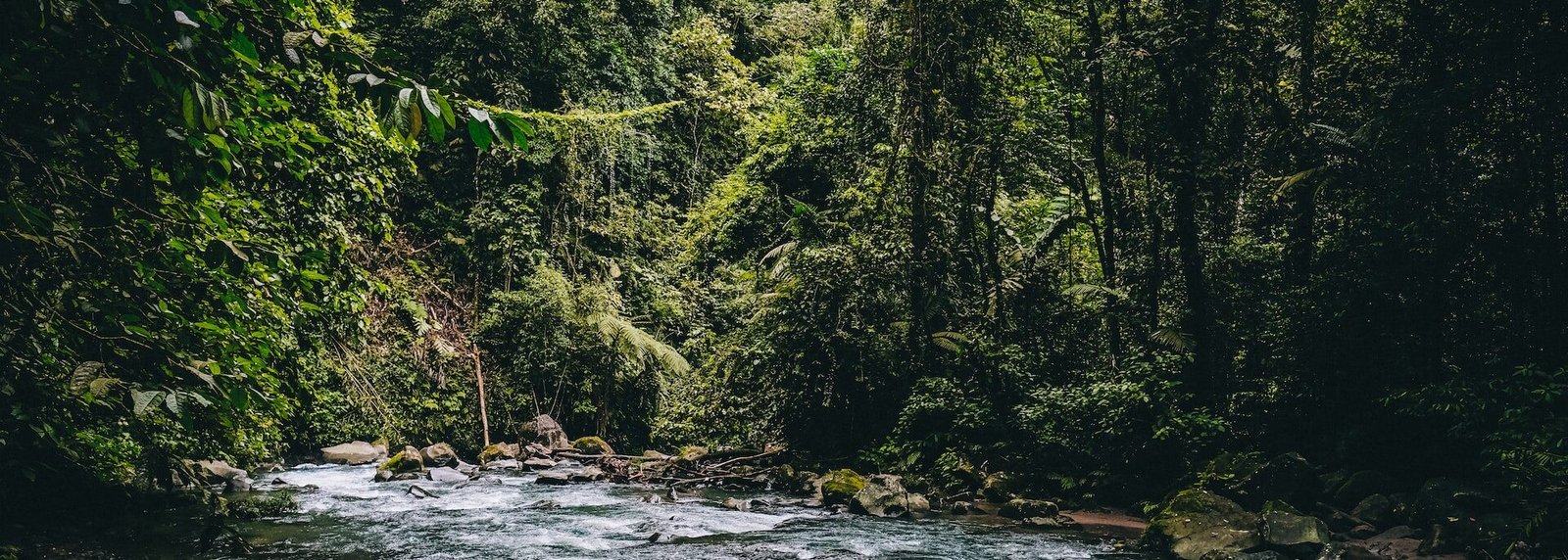 BUSCARÁN DECRETAR NUEVAS ÁREAS NATURALES PROTEGIDAS EN SLP