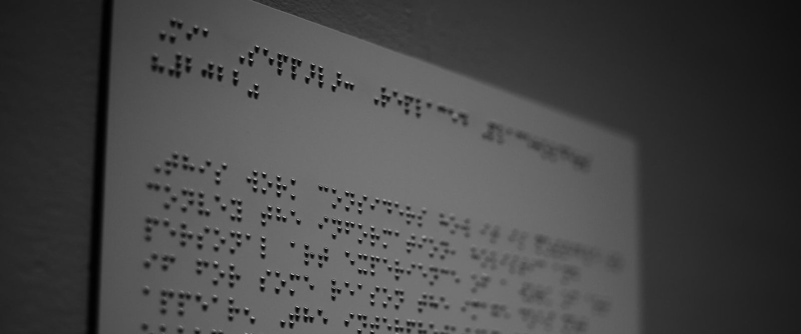 LLEVAN A CABO TALLER DE LECTO-ESCRITURA BRAILE