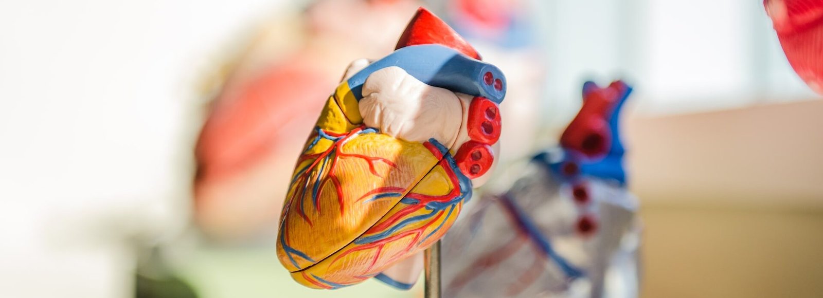 SE IMPULSARÁ CULTURA DE DONACIÓN DE ÓRGANOS