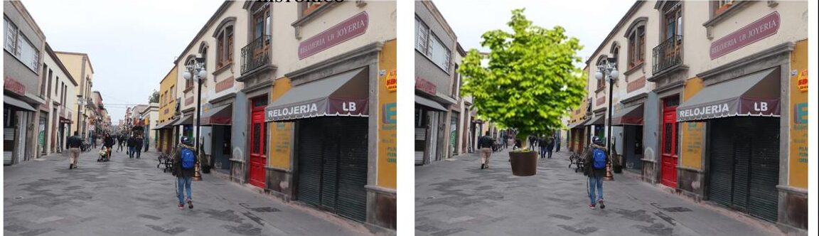 BUSCARÁN ARBORIZAR EL CENTRO HISTÓRICO DE LA CAPITAL DE SLP