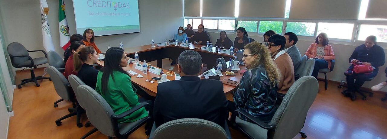 MUJERES, LAS PRINCIPALES BENEFICIARIAS DE CRÉDITOS DEL SIFIDE
