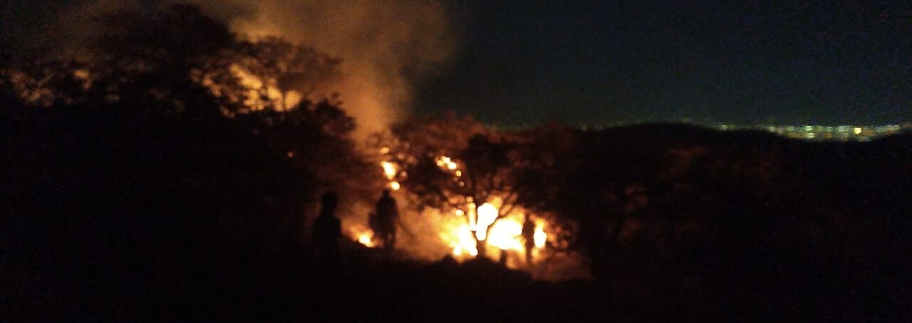 INCENDIOS FORESTALES FUERON PROVOCADOS: PROTECCIÓN CIVIL