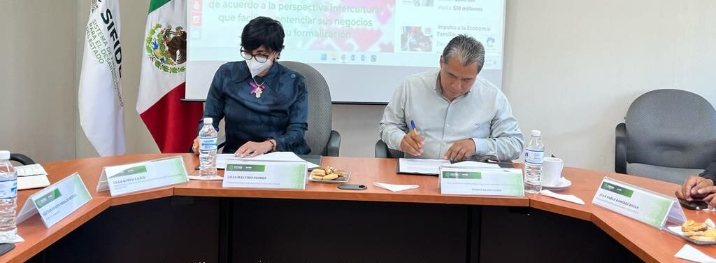 IMPULSARÁN EL DESARROLLO DE PERSONAS DE PUEBLOS ORIGINARIOS EN SLP