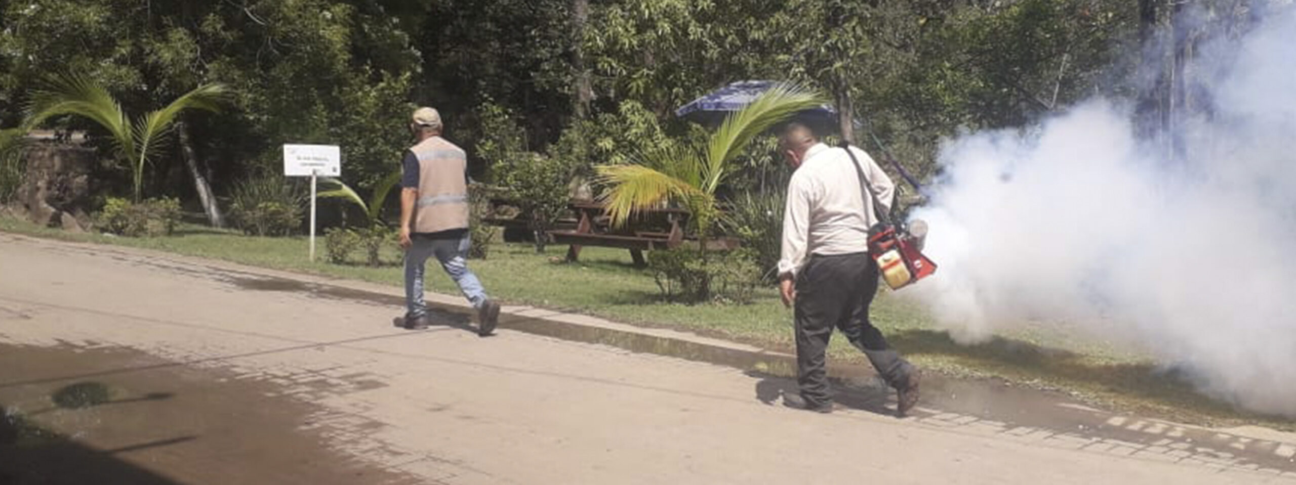 FUMIGAN CONTRA DENGUE, ZIKA Y CHIKUNGUNYA EN LA ZONA DE VALLES