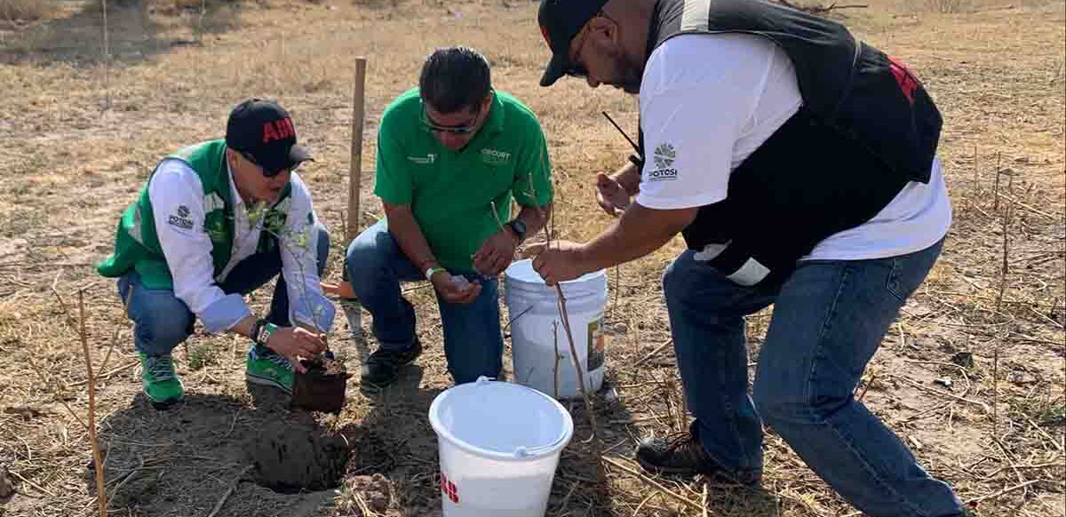 COORDINA GOBIERNO ESTATAL SEGUNDA ETAPA DE REFORESTACIÓN DE PARQUES TANGAMANGA