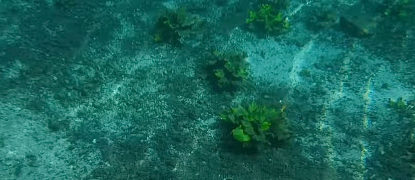 MEDIA LUNA PODRÍA SER PATRIMONIO CULTURAL DE LA HUMANIDAD