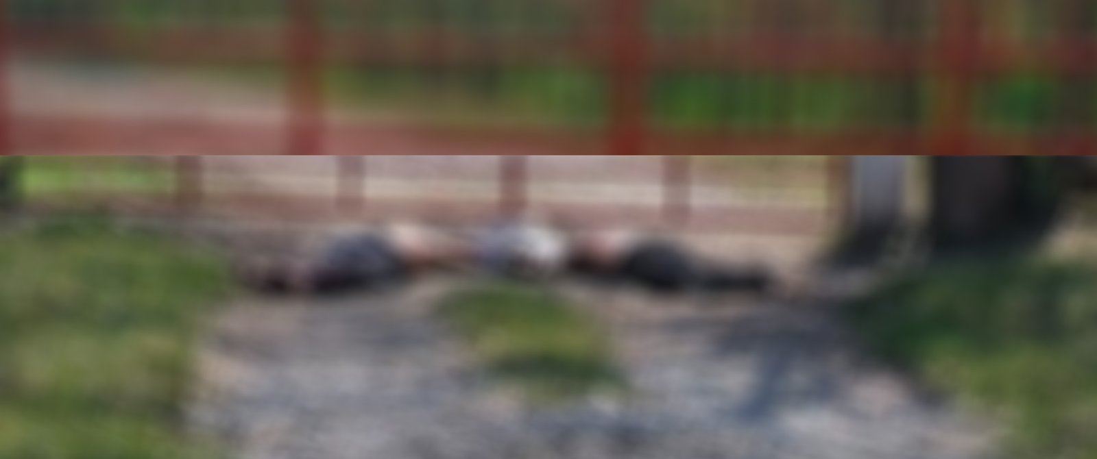 TRES EJECUTADOS EN TANQUIÁN Y UNO MÁS EN TAMUÍN