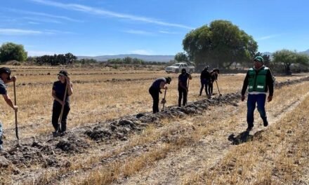 REALIZAN REFORESTACIÓN EN LA SIERRA DE SAN MIGUELITO
