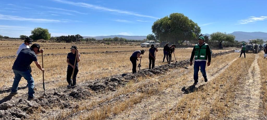 REALIZAN REFORESTACIÓN EN LA SIERRA DE SAN MIGUELITO