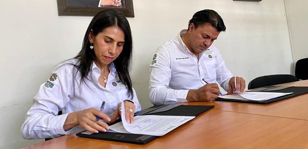 SENSIBILIZARÁN A MUNICIPIOS CONTRA LA VIOLENCIA