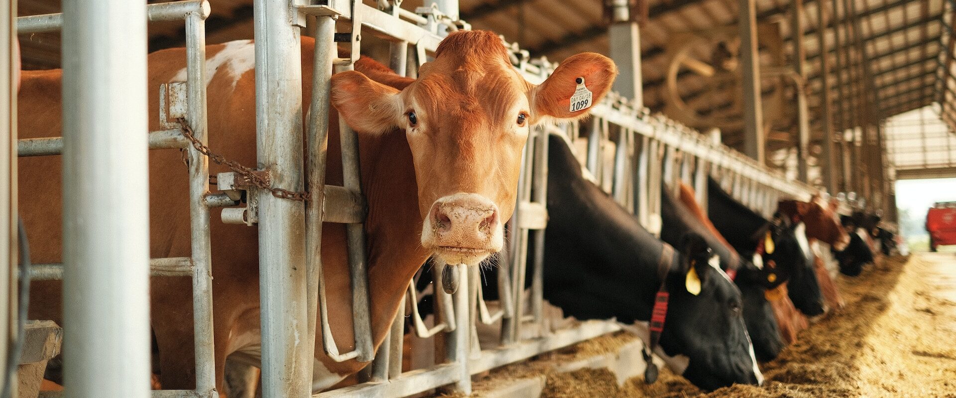 CONTINÚAN LOS TRABAJOS PARA LA EXPO ALIMENTARIA 2023 EN LA FENAPO