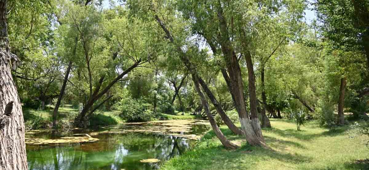 ARRANCA CONSTRUCCIÓN DE PARQUE LINEAL MÁS GRANDE DE MÉXICO