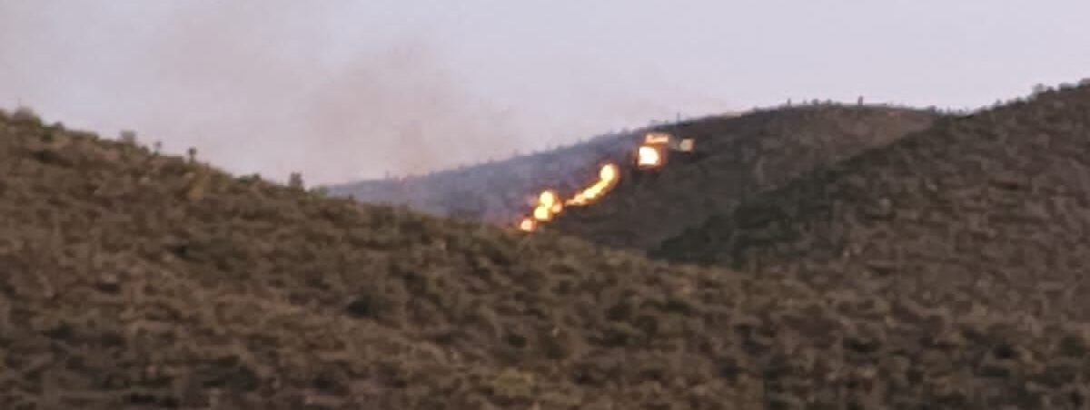 AUTORIDADES DE SLP Y ZACATECAS COMBATEN INCENDIO EN EL CERRO DEL SABINO