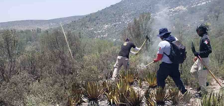 PROTECCIÓN CIVIL ESTATAL MANTIENE APOYO POR INCENDIO FORESTAL EN MATEHUALA