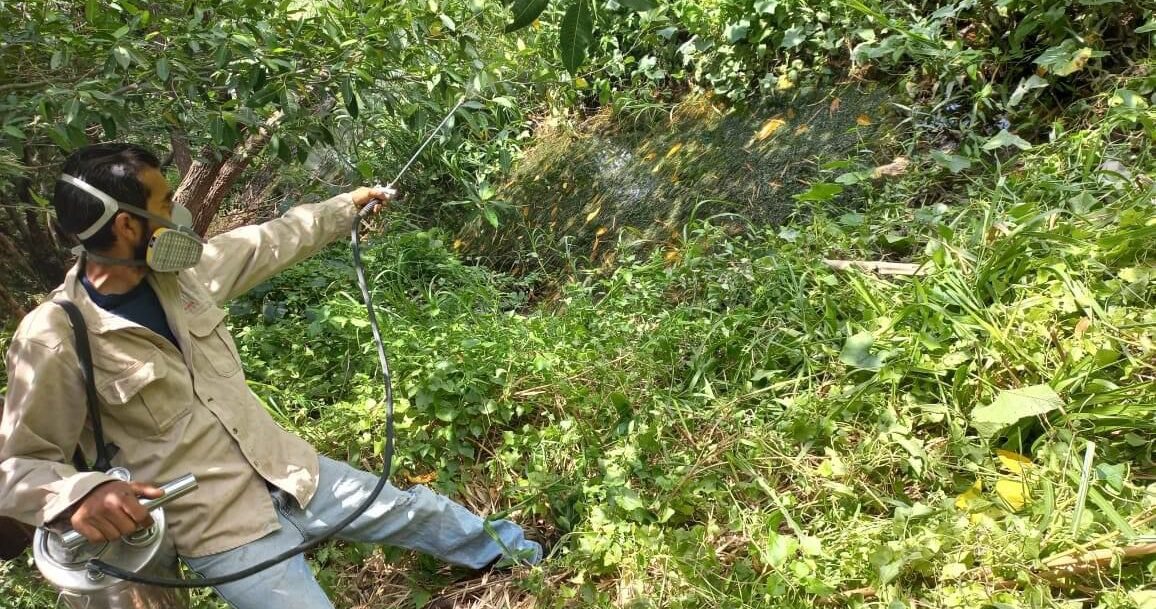 REFUERZAN ACCIONES PREVENTIVAS CONTRA DENGUE