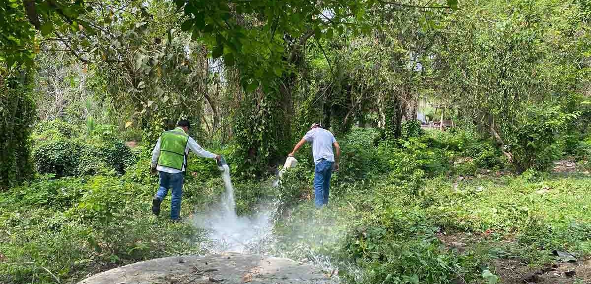 REFUERZAN COMBATE DEL DENGUE, ZIKA Y CHIKUNGUNYA EN EL ESTADO