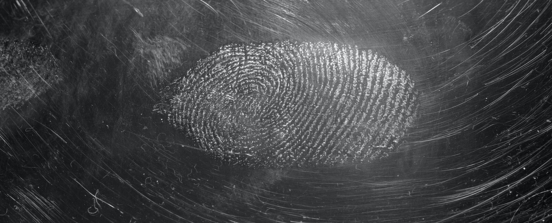 SLP COLABORARÁ CON ALEMANIA PARA MEJORAR IDENTIFICACIÓN FORENSE