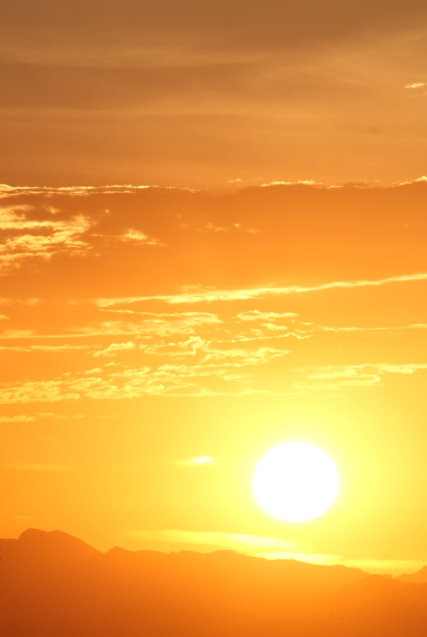 SERVICIOS DE SALUD AUMENTA PREVENCIÓN POR ALTAS TEMPERATURAS