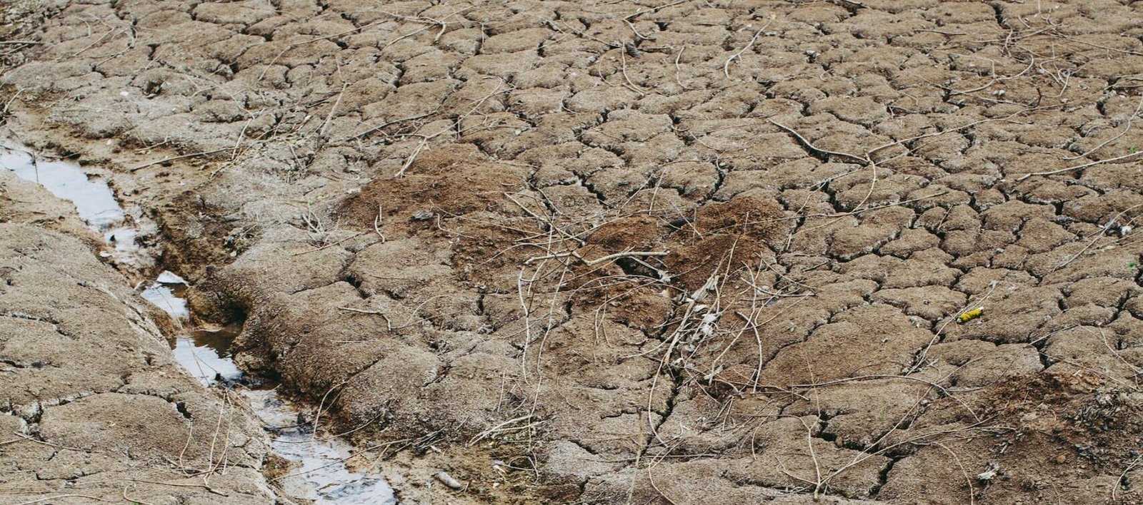 SAN LUIS POTOSÍ PREPARADO ANTE TEMPORADA DE SEQUÍA: GALLARDO