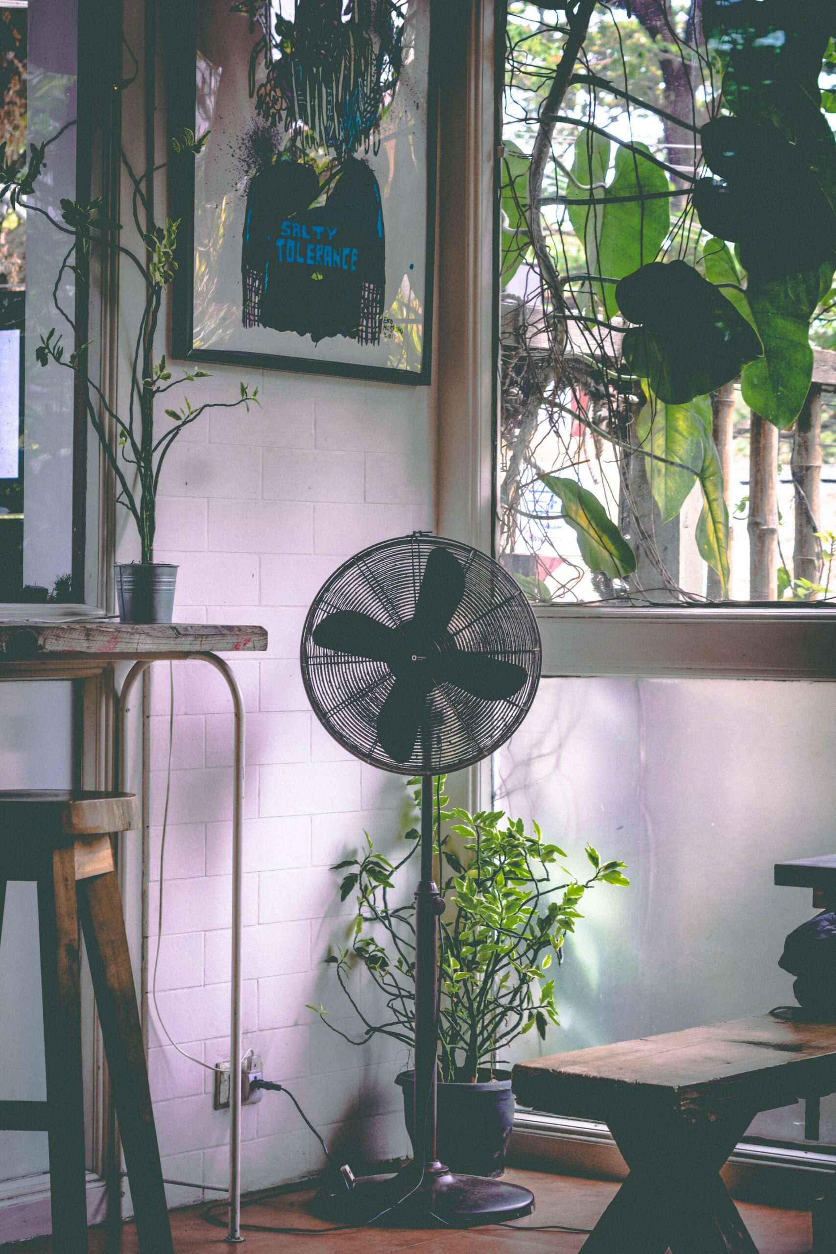 VENTILADORES SERÁN ENTREGADOS POR OLA DE CALOR