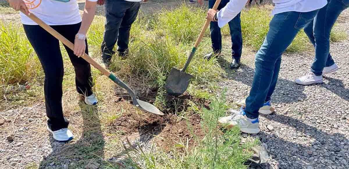 AVANZA PROYECTO DE REFORESTACIÓN EN SOLEDAD