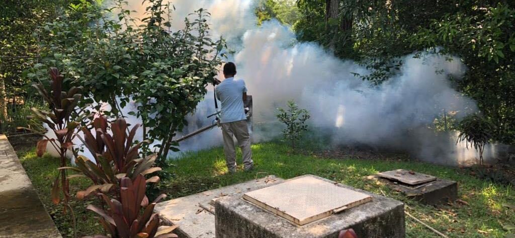 SE CONFIRMA PRIMER CASO DE DENGUE EN LA ZONA METROPOLITANA