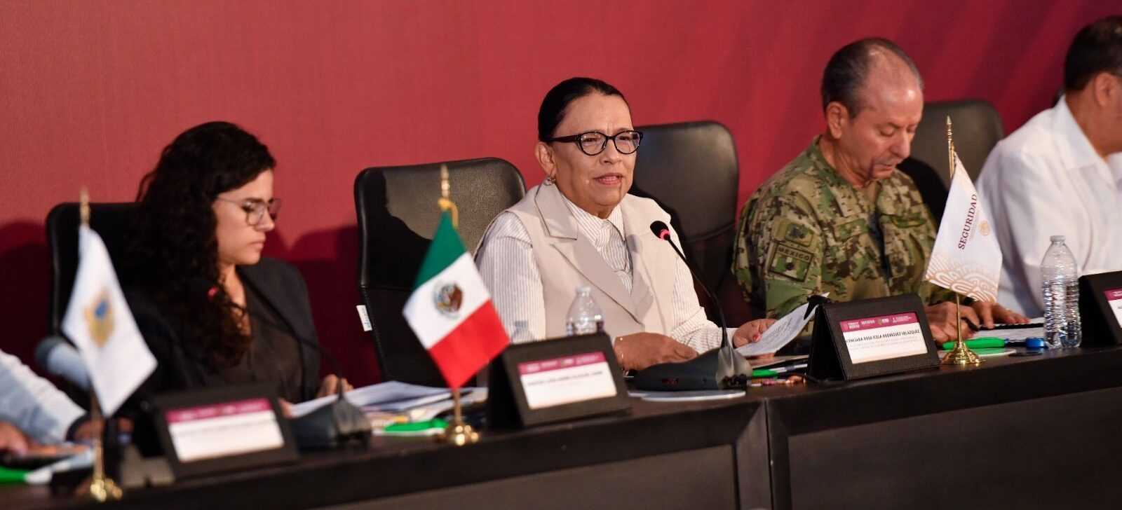 DICE ROSA ICELA QUE RICARDO GALLARDO VA BIEN EN SEGURIDAD  