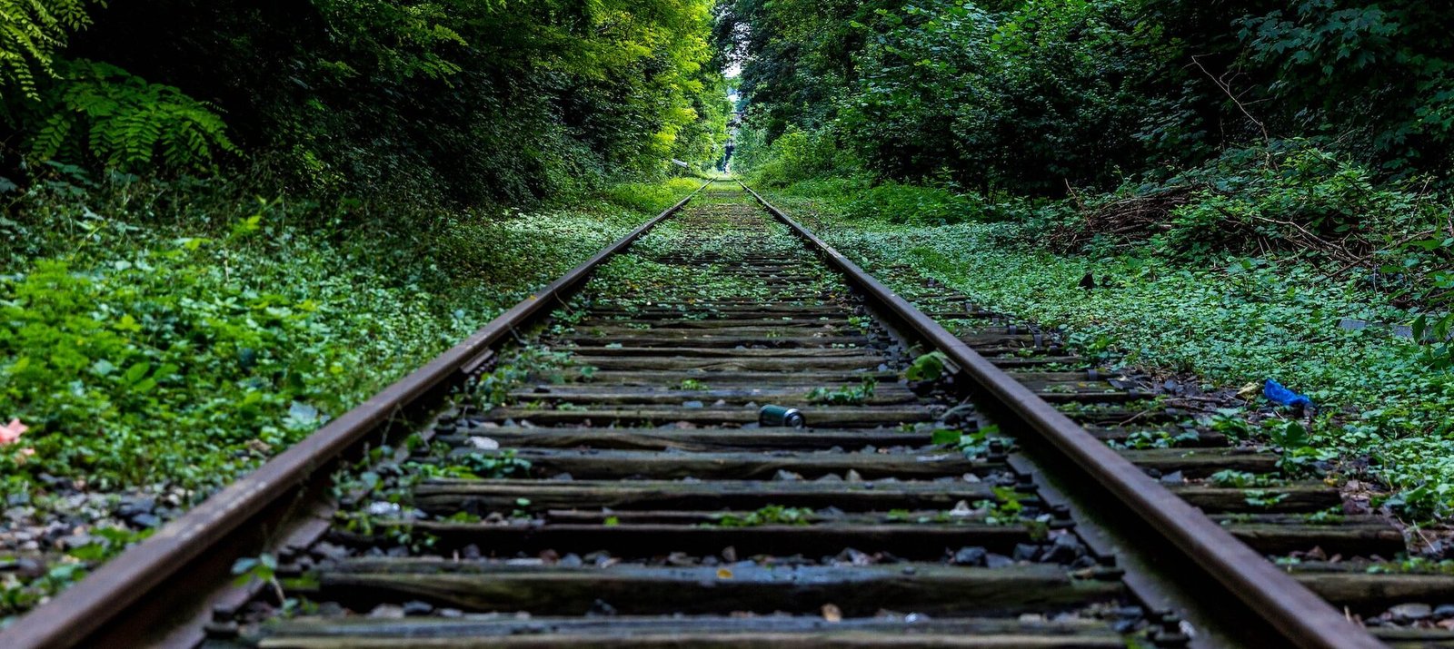 SE PROYECTA IMPLEMENTAR UN TREN TURÍSTICO EN ZONA MEDIA