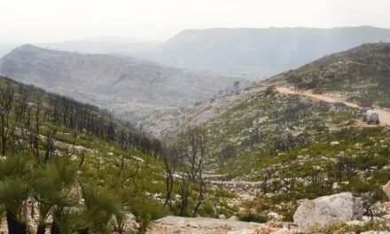 TEMPORADA DE INCENDIOS CONCLUYE CON EXCELENTES RESULTADOS