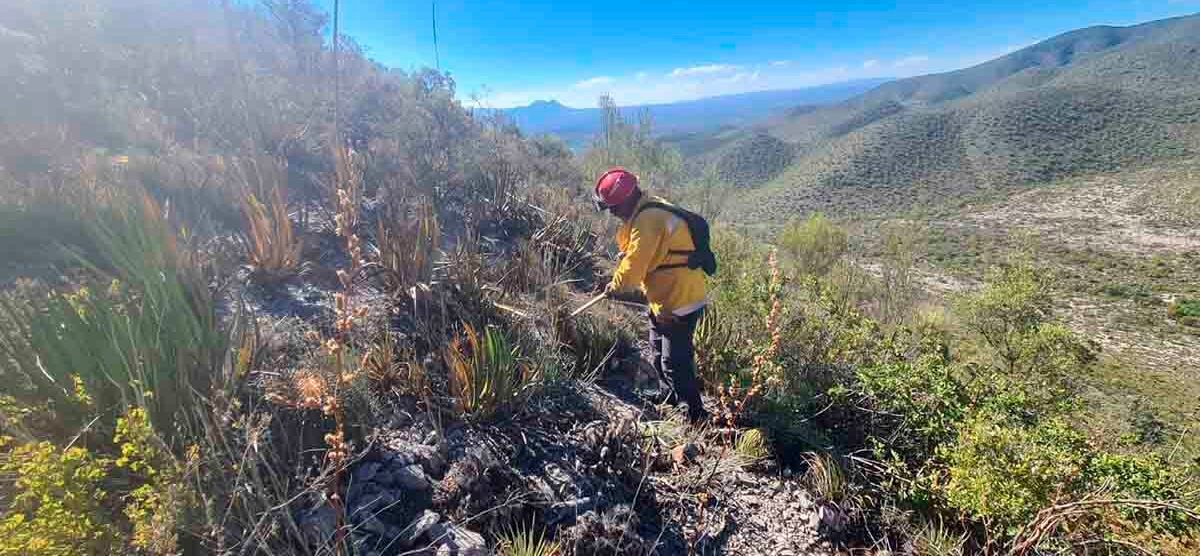 SE COMBATE INCENDIO FORESTAL REGISTRADO EN MATEHUALA