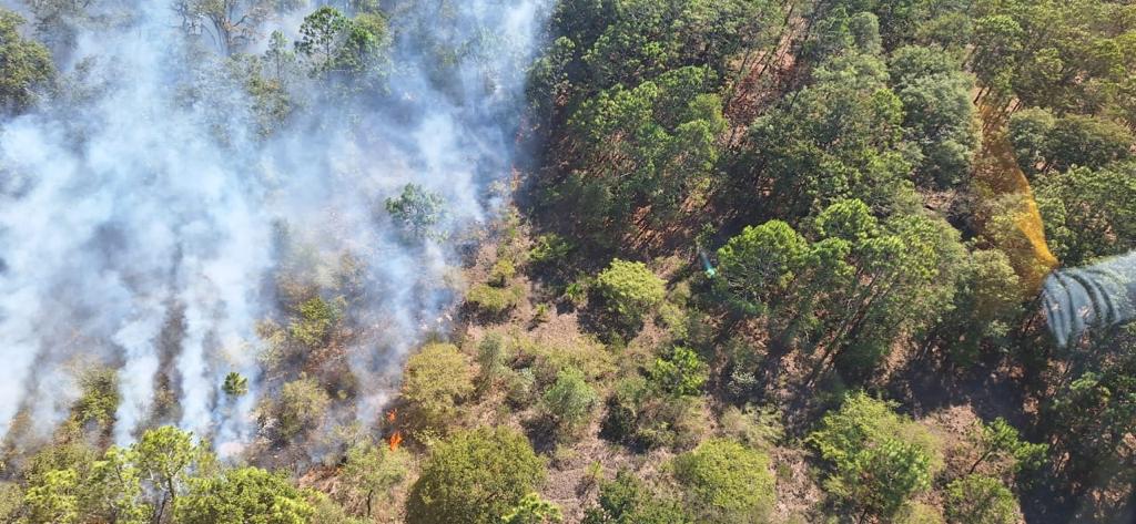 SLP APOYA EN COMBATE DE INCENDIO EN LÍMITES CON GUANAJUATO