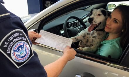 CERCA DE 14 MIL PAISANOS POTOSINOS HAN RECIBIDO APOYO EN SU REGRESO
