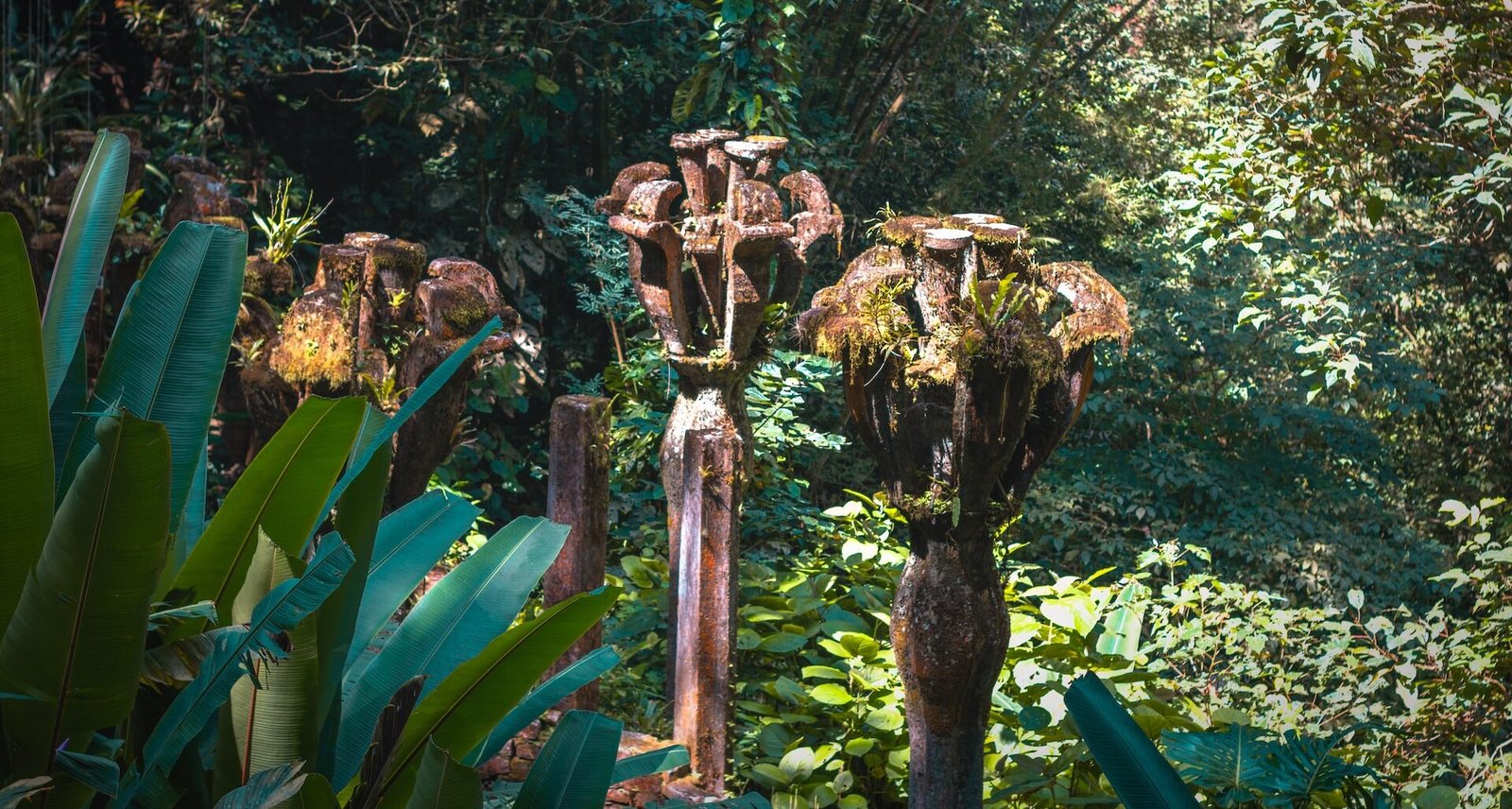 XILITLA: DE LOS PRINCIPALES ATRACTIVOS DE MÉXICO