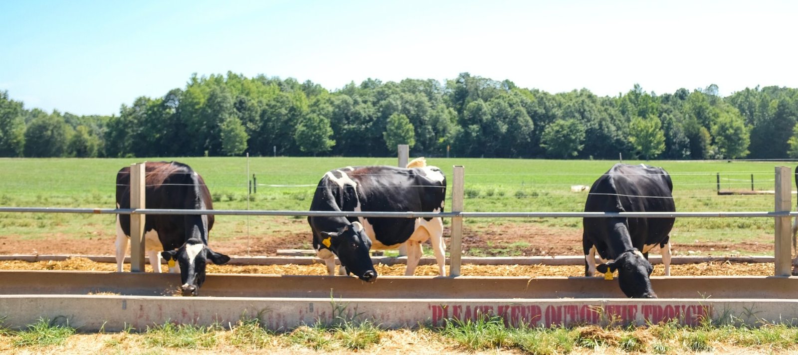 CONMEMORAN DÍA DEL GANADERO EN SLP