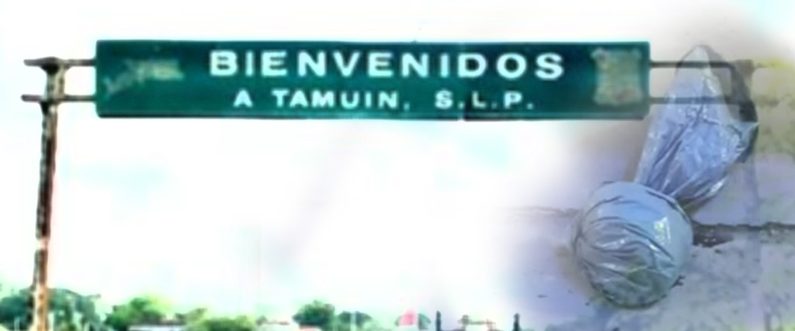 DEJAN UNA CABEZA FRENTE A LA PLAZA DE TAMUÍN