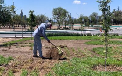 GOBIERNO DEL ESTADO AMPLÍA MEJORAS EN PARQUE “LAS CAMELIAS”