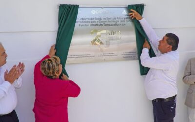 INSTITUTO TEMAZCALLI CUMPLE 25 EN SERVICIO