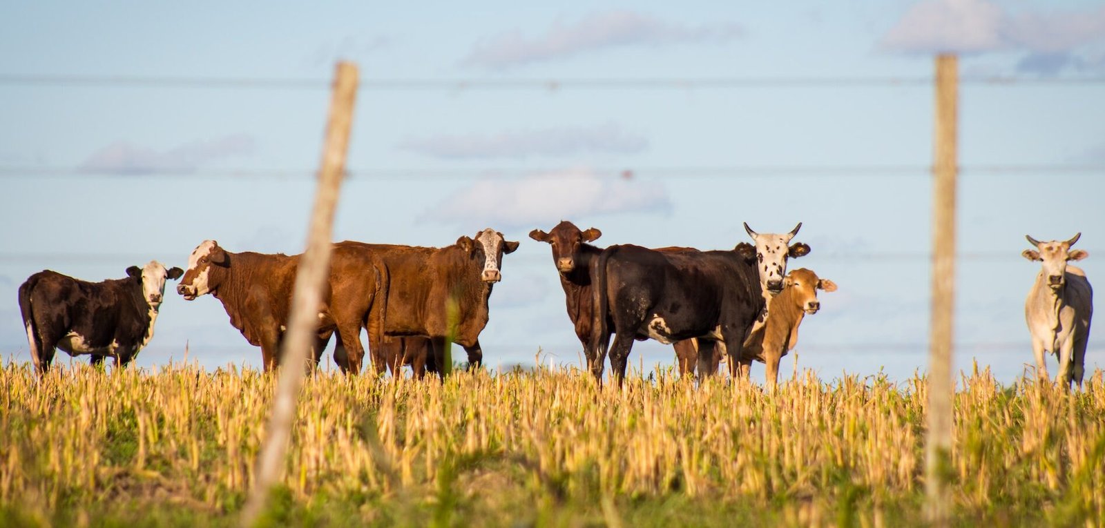 TOMARÁN ACCIONES PARA ATENDER CRISIS DE AGUA EN EL CAMPO