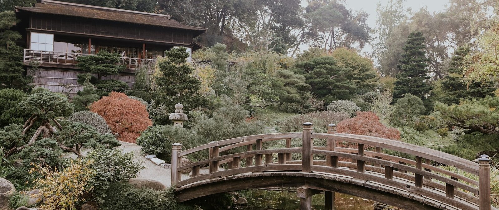 INAUGURARÁN PARQUE JAPONÉS EN EL TANGAMANGA I