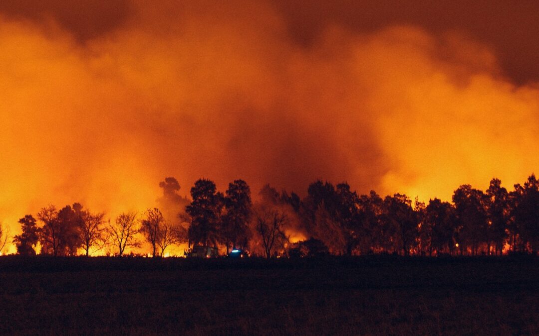 CONCLUYE TEMPORADA DE INCENDIOS FORESTALES