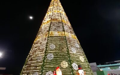 REALIZARÁN ENCENDIDO DEL ÁRBOL NAVIDEÑO EN LA FENAPO