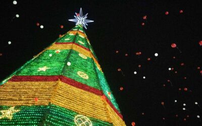 FUE ENCENDIDO EL ÁRBOL NAVIDEÑO EN LA FENAPO