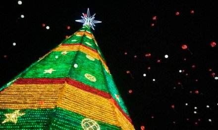 FUE ENCENDIDO EL ÁRBOL NAVIDEÑO EN LA FENAPO