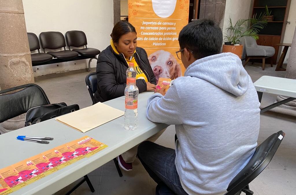 UN ÉXITO JORNADAS DEL EMPLEO EN APOYO A LAS POTOSINAS